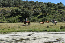 Spain-Central Spain-Monfrague Park Trails